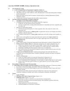 CHAPTER 3 STUDY GUIDE: ANIMAL ARCHITECTURE