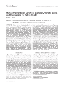 Human pigmentation variation: Evolution, genetic basis, and