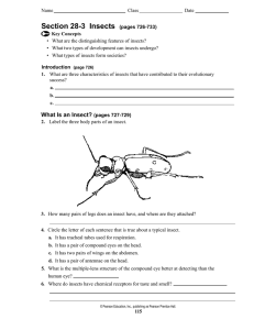 Section 28-3 Insects (pages 726-733)