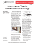 Subterranean Termite Identification and Biology