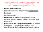 endocrine glands - Catawba County Schools