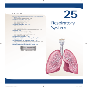 25. Respiratory System