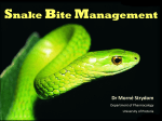 Snake Bite Management - University of Pretoria Archived Website