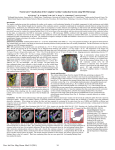 Non-invasive Visualization of the Complete Cardiac Conduction