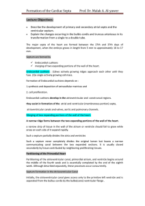 Formation of the Cardiac Septa Prof. Dr. Malak A. Al