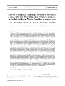 Effects of seagrass landscape structure, structural complexity and