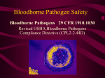 Bloodborne Pathogens - Brownfields Toolbox