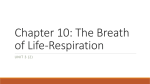 Chapter 10: The Breath of Life-Respiration