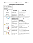 Name Date Period ______ Macromolecules Vocabulary Practice