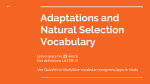 Adaptations and Natural Selection Vocabulary