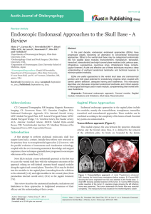 Endoscopic Endonasal Approaches to the Skull Base