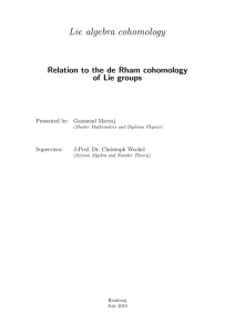 Relation to the de Rham cohomology of Lie groups