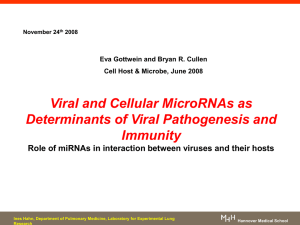 Review Viral and Cellular MicroRNAs as Determinants of Viral