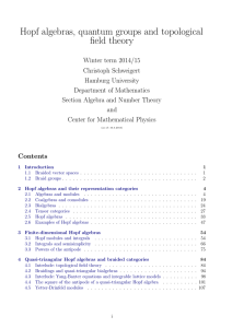 Hopf algebras, quantum groups and topological field theory