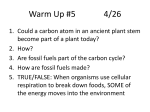 Nitrogen Cycle