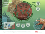 TGFβR1 Kinase Inhibitor - Lilly Oncology Pipeline USA