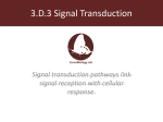 3.D.3 Signal Transduction - kromko