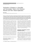 Mechanisms of Resistance to Macrolides and Lincosamides: Nature