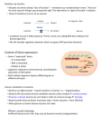 Bio1A Unit 2-7 Gene Expression Pt 1 Notes File