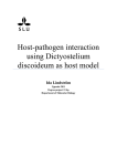 Host-pathogen interaction using Dictyostelium discoideum as