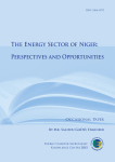 The Energy Sector of Niger: Perspectives and