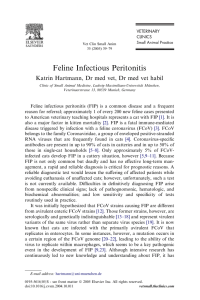 Feline Infectious Peritonitis