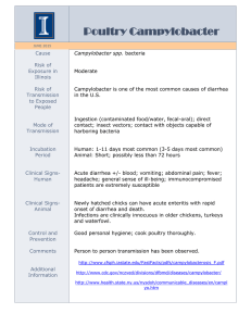 Poultry Campylobacter