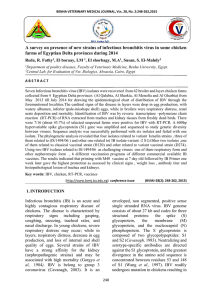 A survey on presence of new strains of infectious bronchitis virus in