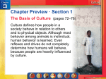 Lesson 3-1: The Basics of Culture