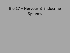 Nervous and Endocrine Systems