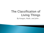The Classification of Living Things