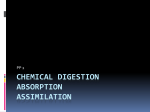 Chemical digestion Absorption Assimilation