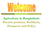 Agriculture in Bangladesh: