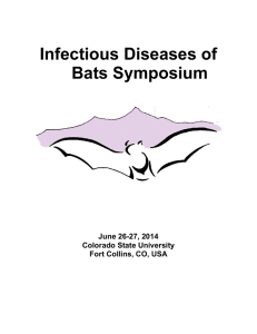 Bat ID Program final - Rocky Mountain Virology Club