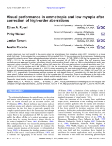 Visual performance in emmetropia and low myopia after