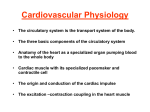 Dr. Jasra Chapter 14 Cardiac A
