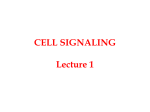CELL SIGNALLING