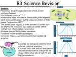 Rates of Reaction