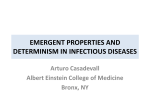 emergent properties and determinism in infectious diseases