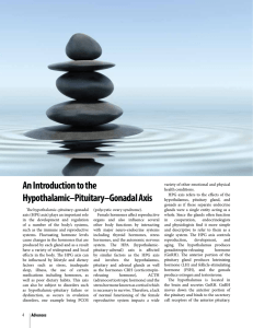 An Introduction to the Hypothalamic–Pituitary–Gonadal Axis