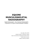 equine musculoskeletal radiography