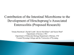 Contribution of the Intestinal Microbiome to the Development of