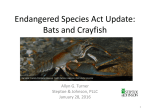 Endangered Species Act Update: Bats, Crayfish, and other Species