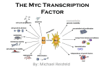The Myc Transcription Factor