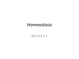 Homeostasis - centralmountainbiology