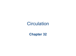 Chapter 32 Circulation