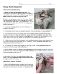 Sheep Heart Dissection Info Sheet