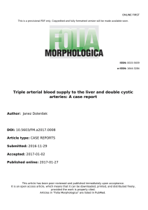 Triple arterial blood supply to the liver and double cystic arteries: A