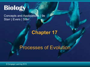 Chapter 17 Processes of Evolution