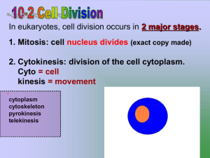 Prentice Hall Biology